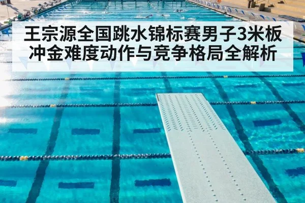 王宗源全国跳水锦标赛男子3米板冲金难度动作与竞争格局全解析